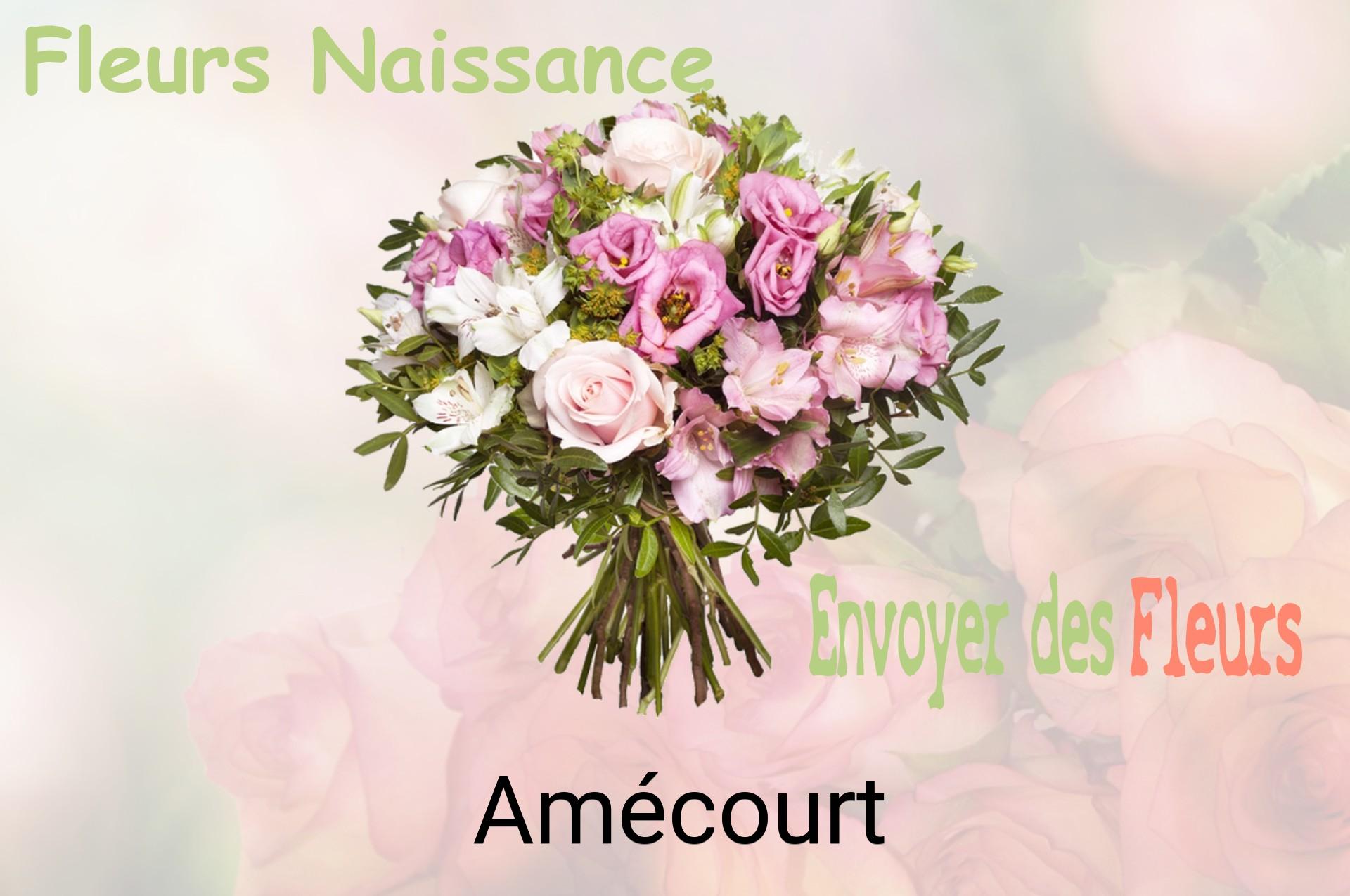 Bouquet de fleurs de naissance livré à Amécourt